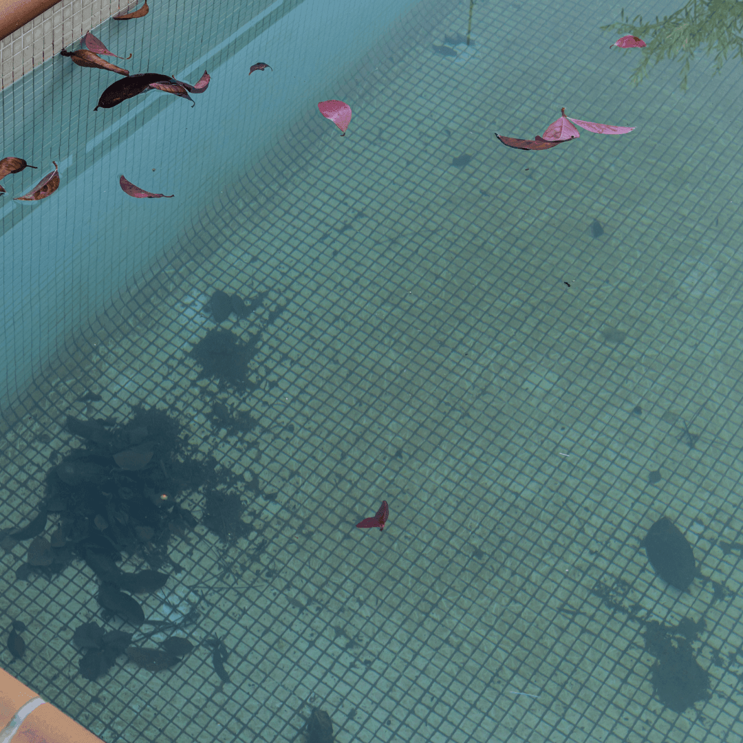 dirty swimming pool